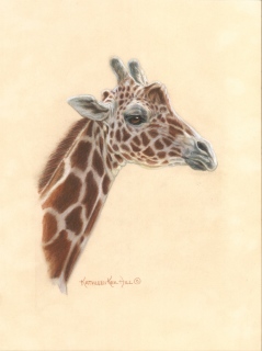 KKH-9069-Mr.-Giraffe