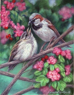 KKH-9070-sparrows-scan