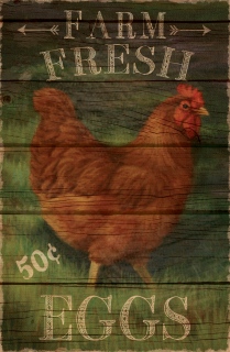 KKH-9072_farmfresheggs2