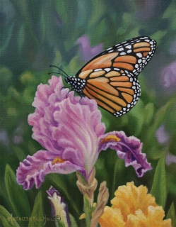 KKH-9080-Monarch-and-Iris