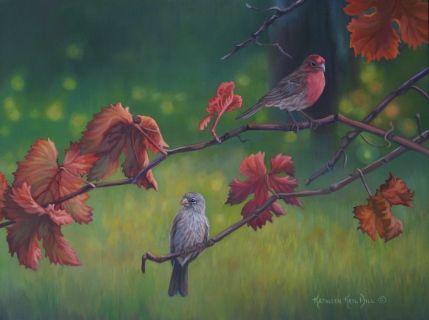 KKH-9081-Fall-Finches