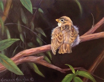 KKH-9082-A-Little-Fluff_200-dpi