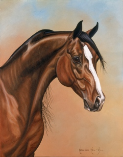 KKH-9085-Bay-Stallion_300dpi