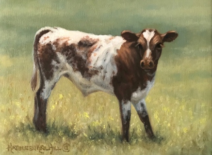 KKH-9097-Little-Steer- KKH-9097-Little-Steer-