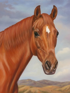 KKH-9111-Dapper KKH-9111-Dapper