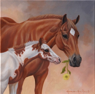 KKH-9114-Sunset-Foal