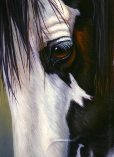 KKH-9120-Black-and-White KKH-9120-Black-and-White