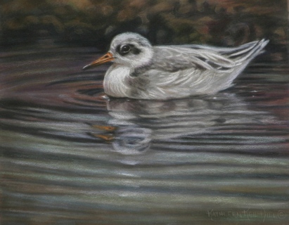 KKH-9128-Sandpiper-tiff