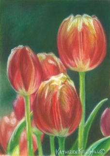 KKH-9129-Tulips