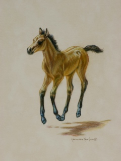 KKH-9130-Joy KKH-9130-Joy