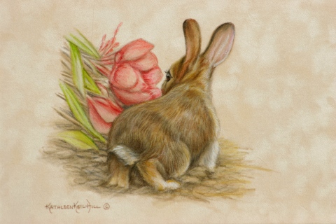 KKH-9159-8-Peakaboo_Adjusted