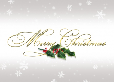 MS-1291s2-MC-holly-silver