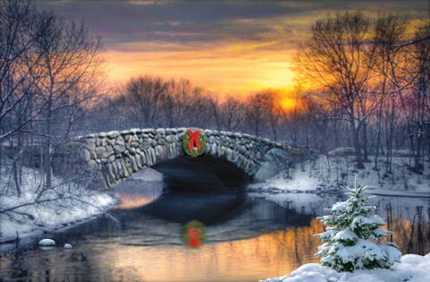 MS-1452-No-cards-less-than-18-x-24