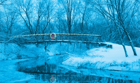 MS-1454-No-cards-less-than-18-x-24