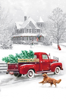 MS-3282d-home-bw-bag-8-x-12