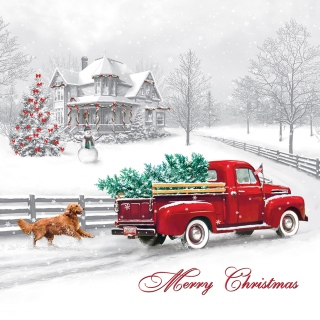 MS-3282f-bag-home-truck-B-W