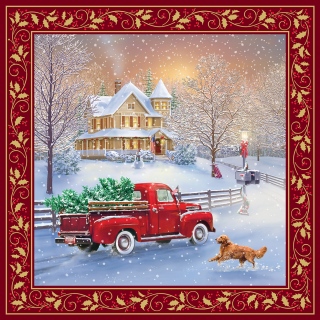 MS-3282i-car-bag-red-holly-border