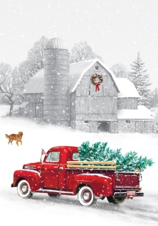 MS-3287-winter-farm-flag