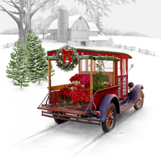 MS-3288-winter-farm-2021_1