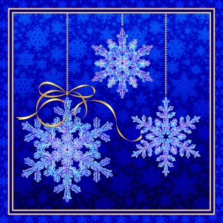 MS-3293a1-2021-bag-box-snow-ornaments