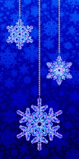 MS-3293s-2021-snowflakes-bag-side