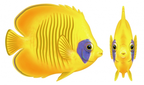 MS-3380e-golden-butterfly-ELEMENT