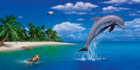 MS-3380g-dolphin-jumping-and-sky