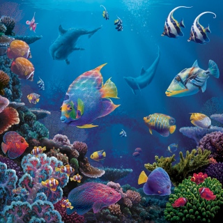 MS-3380p-coral-cove-bag-low-res