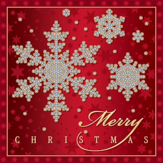 MS-3410b-bags-red-ser-snowflakes-B-W-HR-Layers-for-Holograph-and-Embossing-only