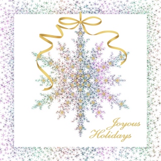 box 6 star snowflake3