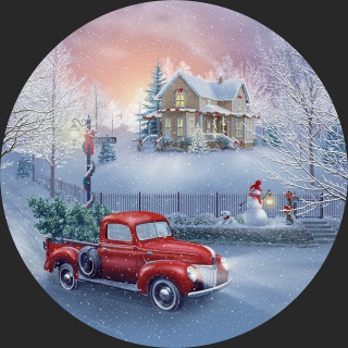 MS-5314-SNOW-Dr-24-x24-round