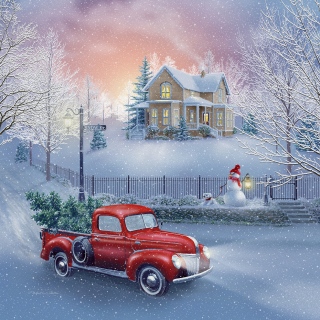 MS-5314a-MS-SNOW-Dr-24-x24-no-decor