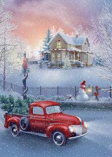 MS-5314c-SNOW-Dr-24-x24-truck-2-vertical