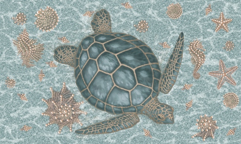 MS-6020i-aqua-Moma-Logger-Solid