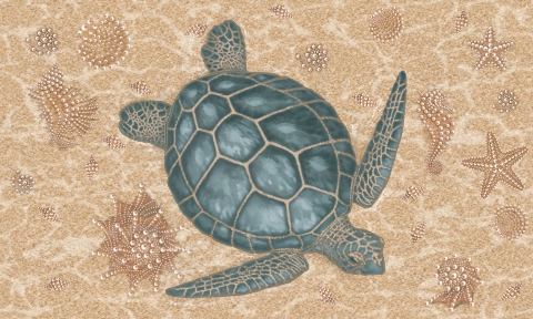 MS-6020i2-off-shore-sand-and-sea-2