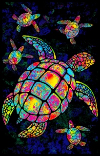 MS-7911e-sea-turtle-poster-bl