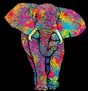 MS-7911j-LR-elephant-t-shirt