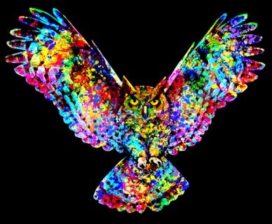 MS-7911k-Owl-paint