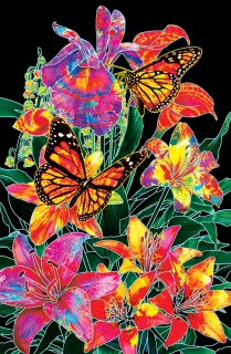 MS-7911l-banner-black-with-Butterflies-LR