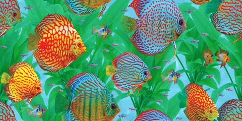 MS-9411a-With-Sea-Grass