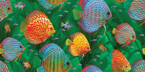 MS-9411f2-With-add-of-small-fish-on-only-green-grass