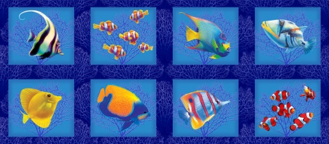 MS-9411h-coral-seafans-blue-blocks-no-seahorses