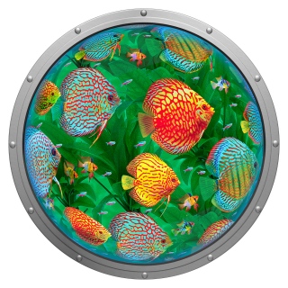 MS-9411p-diecut-fish-in-a-porthole-puzzle