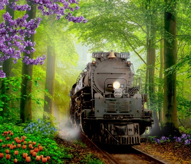 MS-9419-big-boy-in-spring