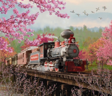 MS-9423d-mogul-in-spring