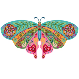 MT-1112b-butterfly2