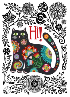 MT-1117b-Black-kitty-HI