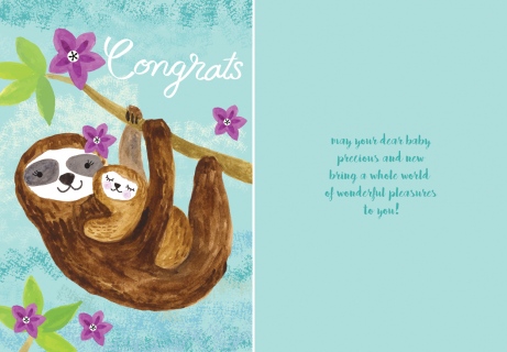 sloth baby