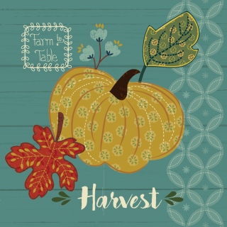 FALL HARVEST PILLOWS