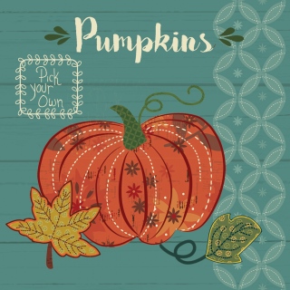 FALL HARVEST PILLOWS